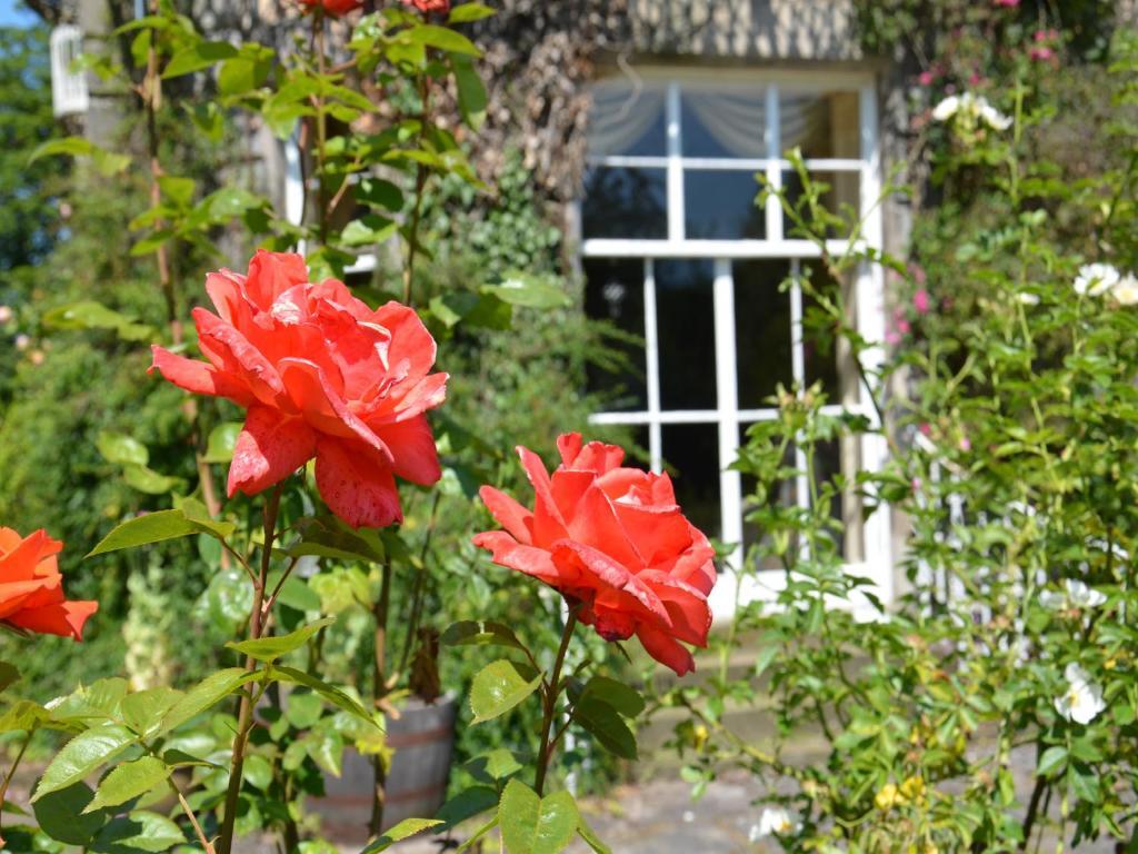 Powis House B&B Stirling Luaran gambar